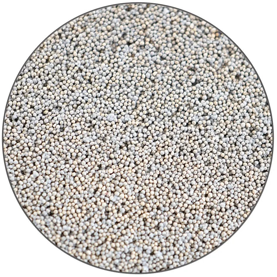 IceCap 1in Biological Frag Disc (25pc)