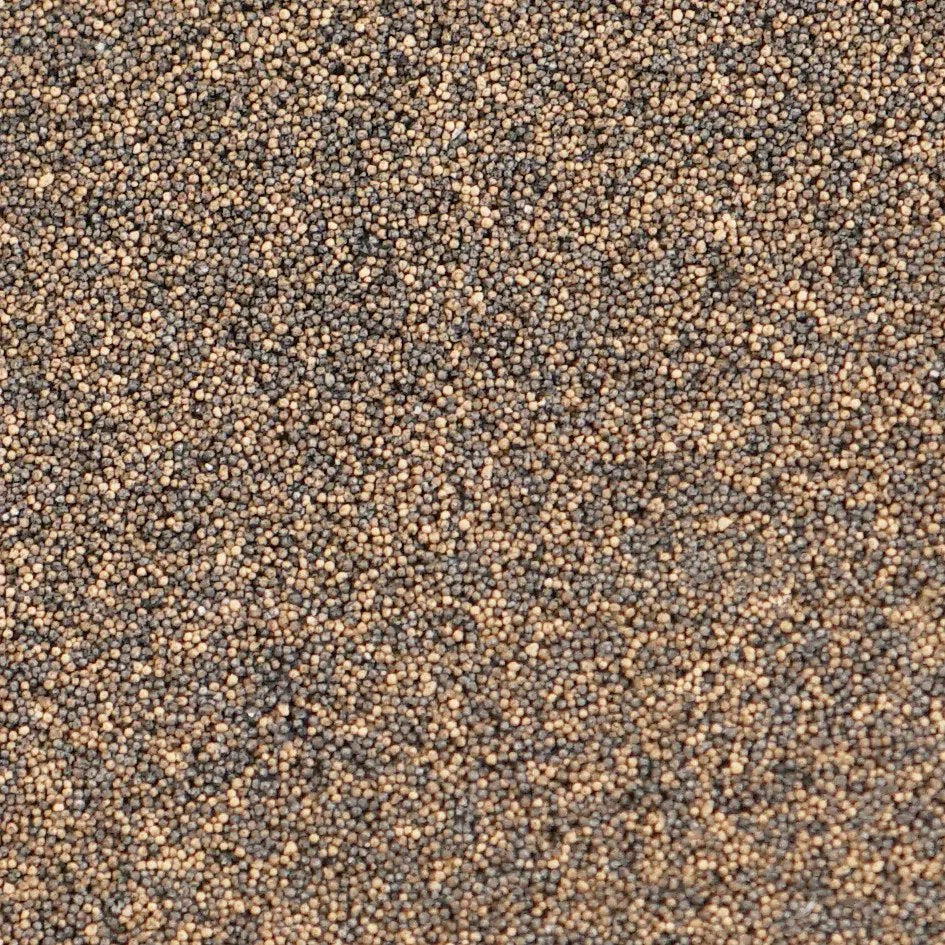 IceCap 2in Biological Coral Frag Tile (15pc)