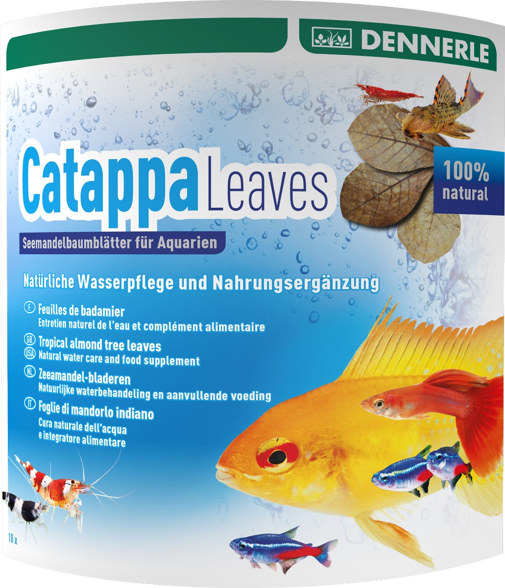 Dennerle Catappa Leaves
