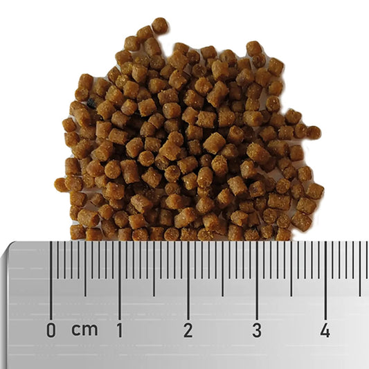Fauna Marin Soft Clownfish Food, Large Pellet Fish Food, 100 ml