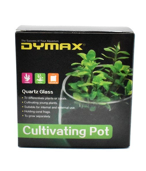 Dymax Crystal Cultivating Pot