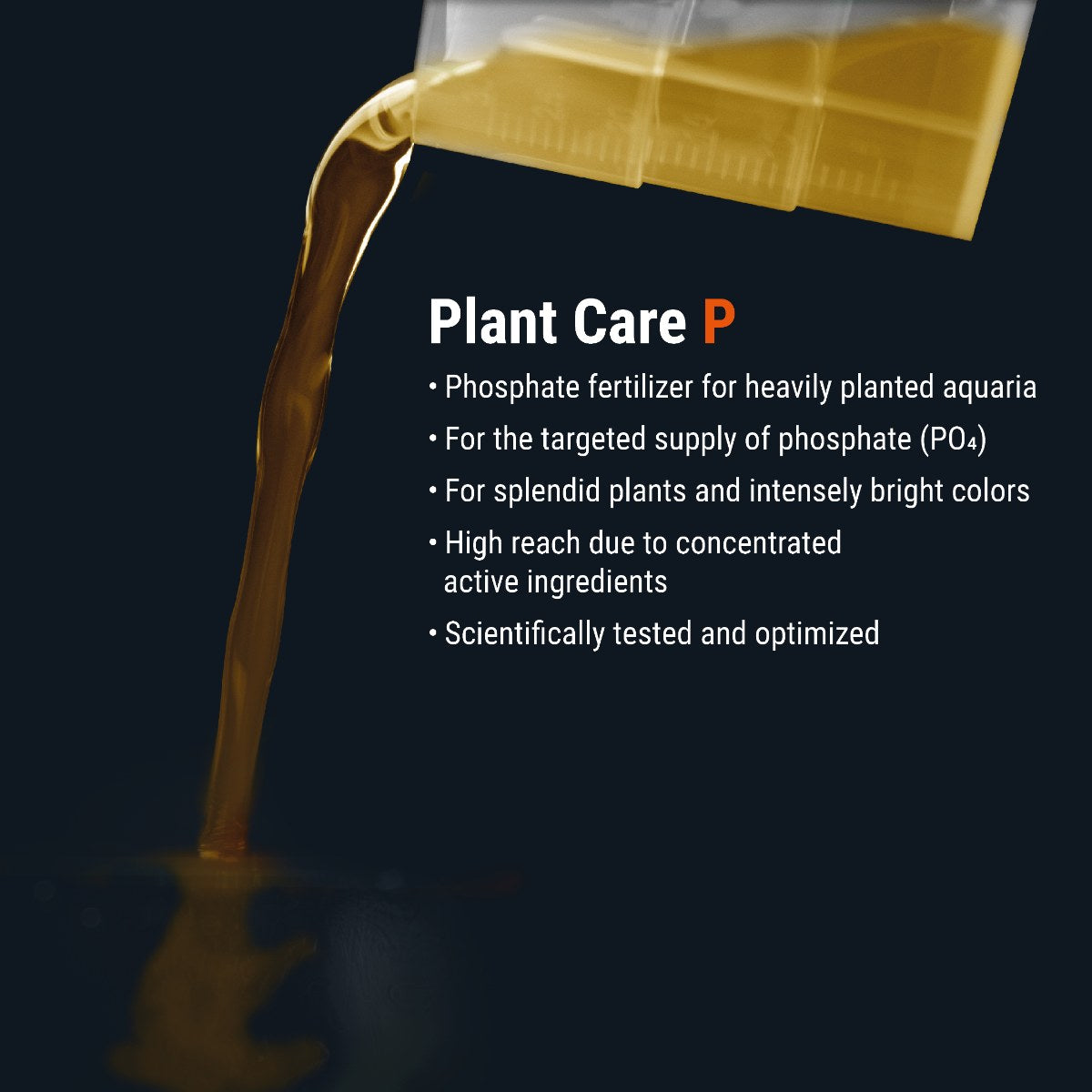 Dennerle Plant Care P