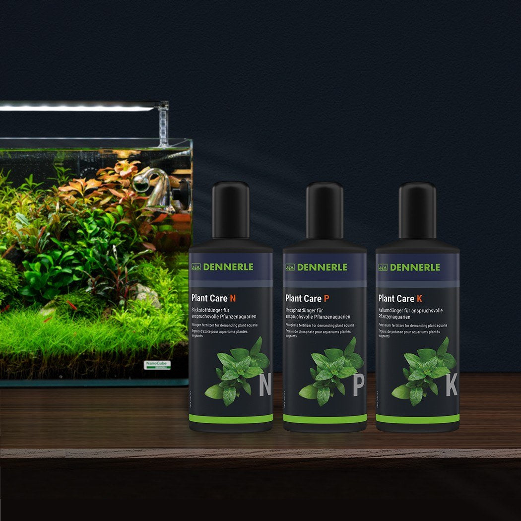 Dennerle Plant Care P