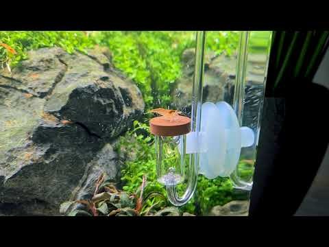 Dennerle CO2 Diffusor Ultra, Medium
