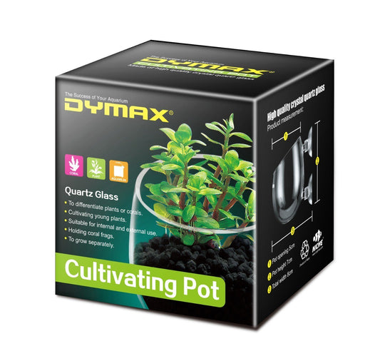 Dymax Crystal Cultivating Pot
