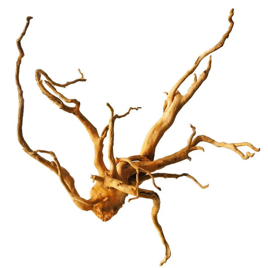 IceCap Spider Wood, Large (20in-28in)