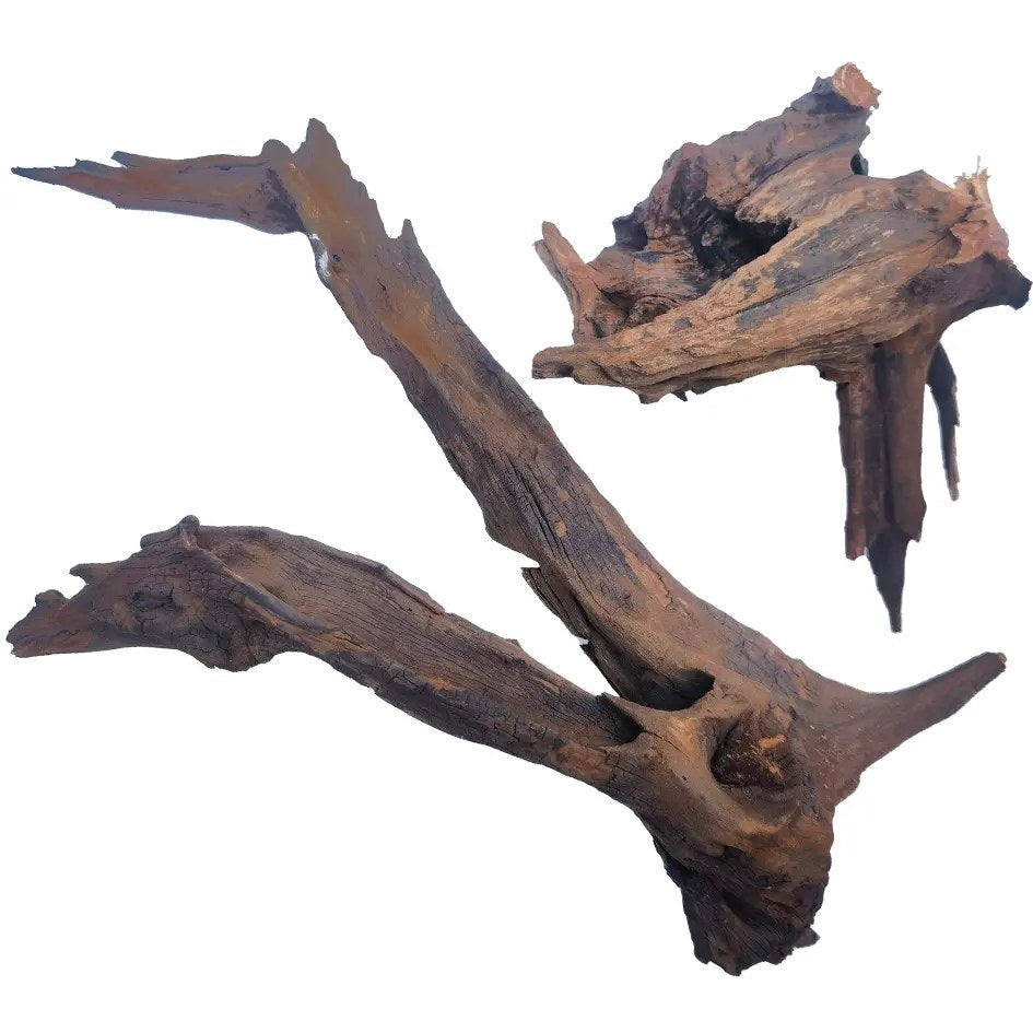 IceCap Driftwood, XXLarge (32in-36in)