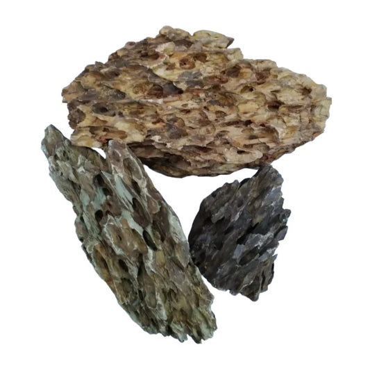 IceCap Dragon Stone, 44 lbs