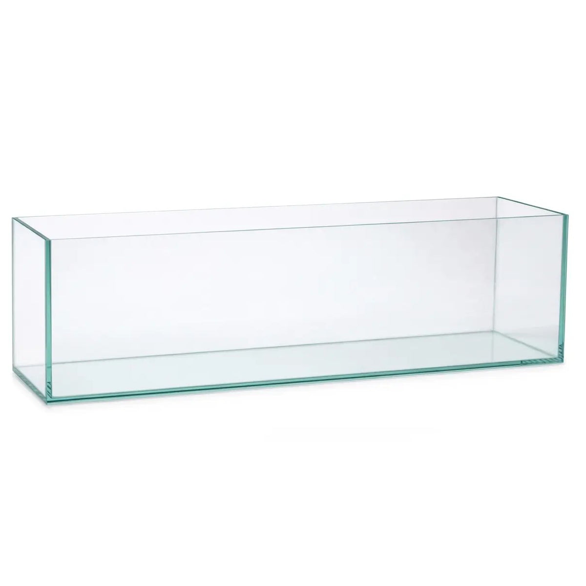 IceCap Glass Bookshelf Aquarium, 11.5-Gallon
