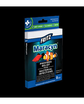 Fritz Maracyn